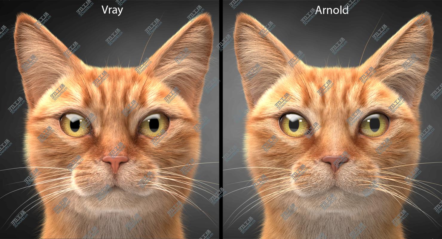 images/goods_img/202104092/3D Cat Ginger v1 model/4.jpg